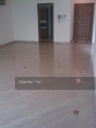 Spring Grove (D10), Condominium #148732122